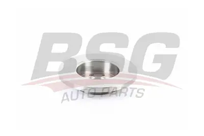 bsg-75-210-008-fren-diski-on