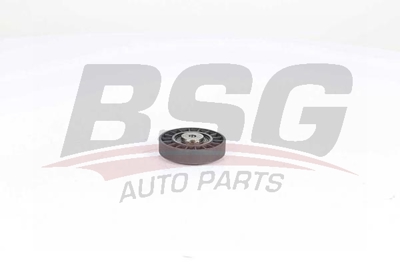 bsg-75-615-005-v-kayis-gergi-rulmani