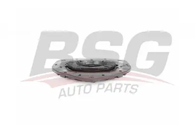 bsg-75-700-027-amortisor-takozu-on