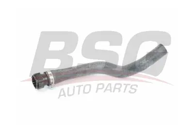 bsg-75-720-002-kalorifer-hortumu