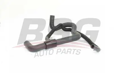 bsg-75-720-013-radyator-hortumu-alt