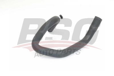 bsg-75-720-031-kalorifer-hortumu