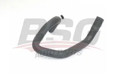 bsg-75-720-031-kalorifer-hortumu