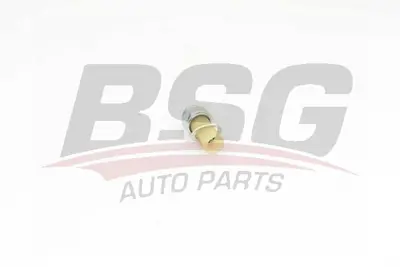 bsg-75-840-002-yag-basinc-musuru