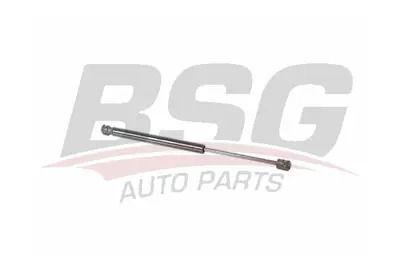 bsg-75-980-007-bagaj-amortisoru