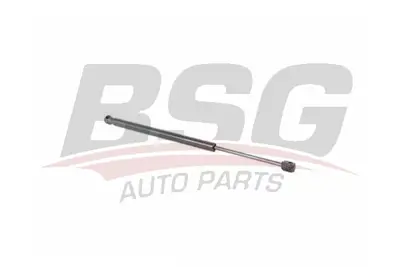 bsg-75-980-009-bagaj-amortisoru