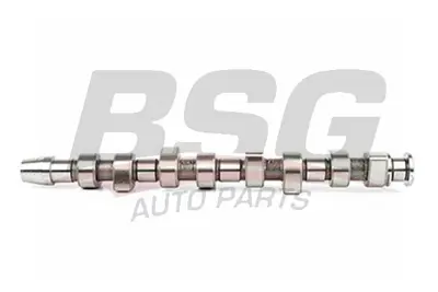 bsg-90-108-002-eksantrik-mili