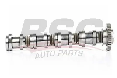 bsg-90-108-009-eksantrik-mili