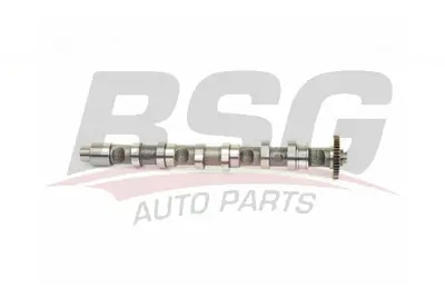 bsg-90-108-012-eksantrik-mili