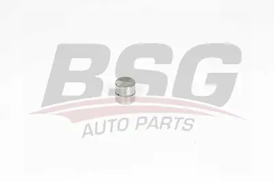 bsg-90-122-021-supap-kadehi-emme