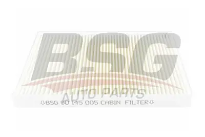 bsg-90-145-005-polen-filtresi