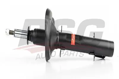 bsg-90-300-016-amortisor-on