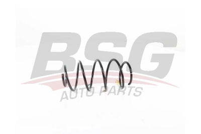 bsg-90-305-004-helezon-yayi-on