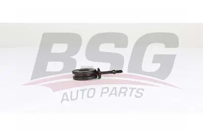 bsg-90-310-205-viraj-aski-rotu-on