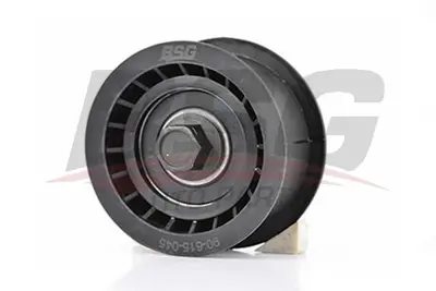 bsg-90-615-045-eksantrik-gergi-rulmani