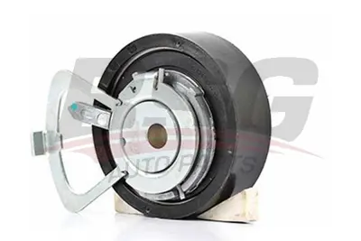 bsg-90-615-047-eksantrik-gergi-rulmani