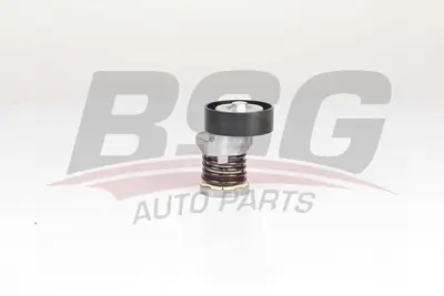 bsg-90-615-050-v-kayis-gergisi-komple