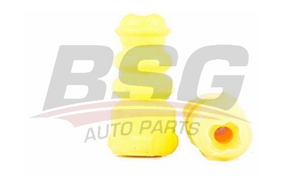 bsg-90-700-005-amortisor-lastigi-arka
