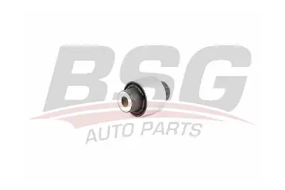 bsg-90-700-133-salincak-burcu-arka