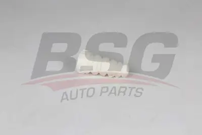 bsg-90-700-173-amortisor-lastigi-arka