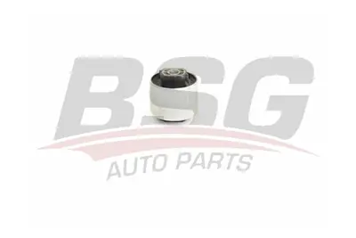 bsg-90-700-210-dingil-burcu-arka