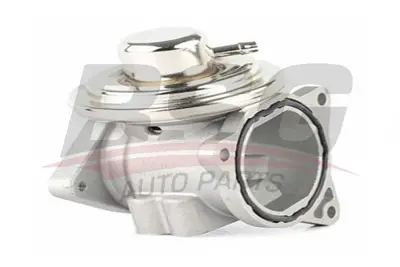 bsg-90-836-004-egr-valfi