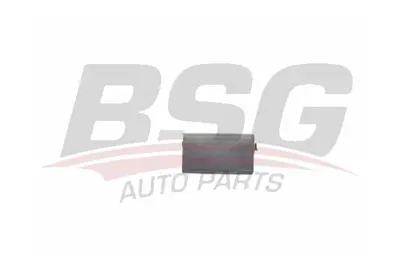 bsg-90-922-015-kriko-kapagi-on-sag