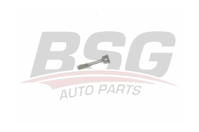 bsg-90-975-013-kapi-kilit-levyesi