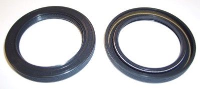 elring-023520-eksantrik-kecesi