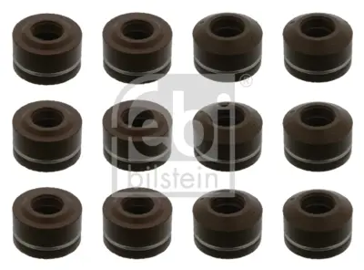 febi-bilstein-05427-supap-lastigi-takimi