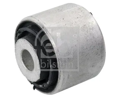 febi-bilstein-174308-dingil-burcu-arka