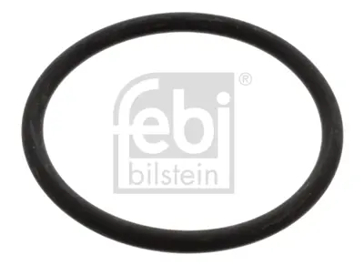 febi-bilstein-17966-termostat-contasi