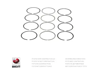 federal-mogul-motorparts-06-25330000-segman