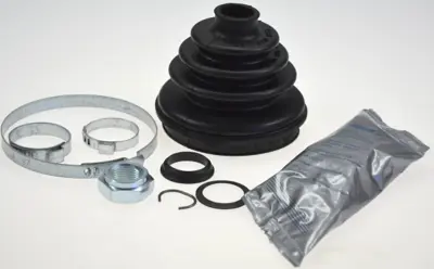gkn-300402-aks-korugu-dis