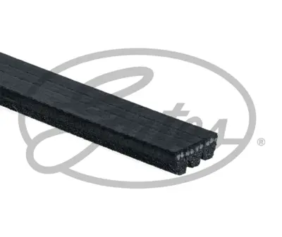 gates-3pk848-v-kayisi