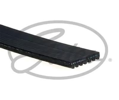 gates-7pk1370-v-kayisi