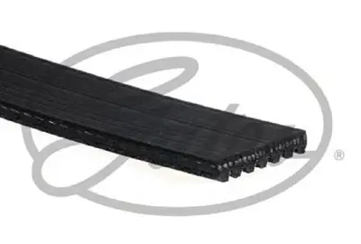 gates-7pk1800-v-kayisi