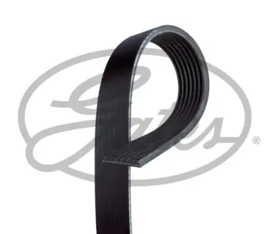 gates-7pk1910-v-kayisi