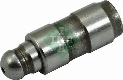 ina-420-0254-10-supap-iticisi