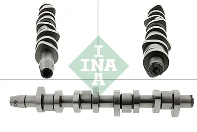 ina-428-0110-10-eksantrik-mili