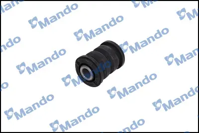 mando-dcc010613-salincak-burcu-on