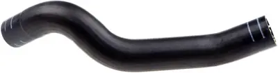 rapro-r11731-radyator-hortumu-ust