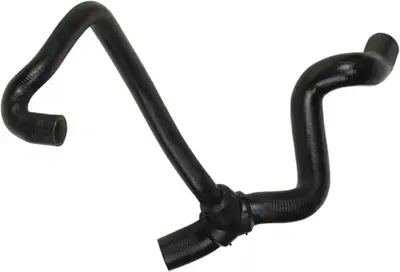 rapro-r12172-radyator-hortumu-alt