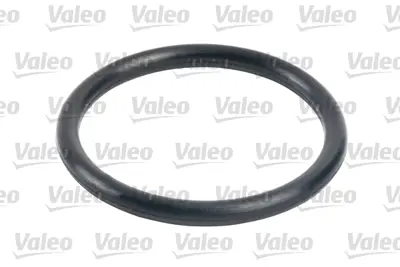 valeo-587710-yakit-filtresi