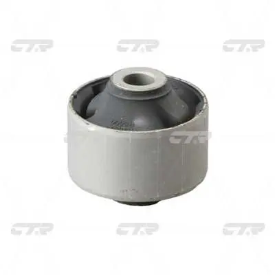 ctr-gv0009-salincak-burcu-alt-on