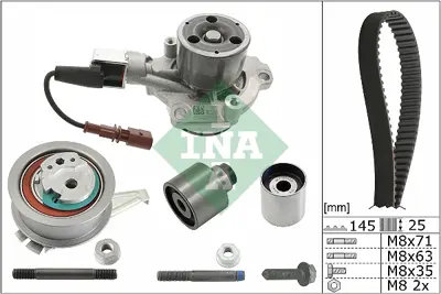 ina-530-0699-30-triger-seti