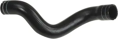 rapro-r11395-radyator-hortumu-alt