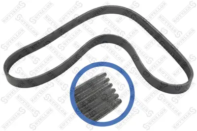 FORD 6D314 AB V Kayıs Setı 8V2Q/6D314/AB