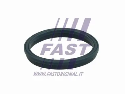 BSG 30-116-208 Emme Manıfolt Contası 2S7Q/6P077/AA