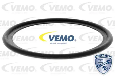 BSG 30-506-012 Yag Sogutucu DS7G/6B856/AA